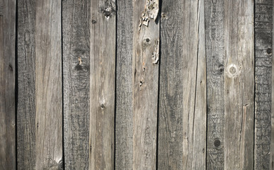 Fototapeta premium Texture of gray weathered wooden lining boards