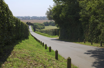 Country lane down hill in Sussex. England