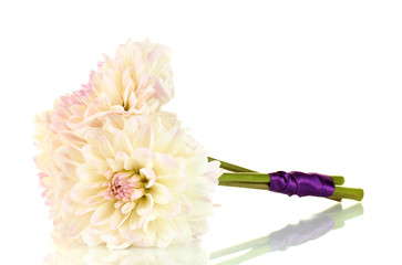 Bouquet of beautiful white dahlias tied with ribbon isolated