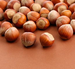 tasty  hazelnuts, on brown background