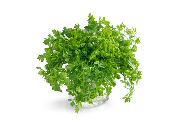 green leaves of parsley isolated on white background