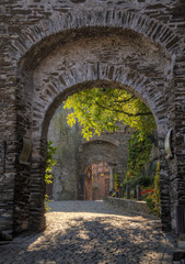 Fototapeta na wymiar Cochem Castle
