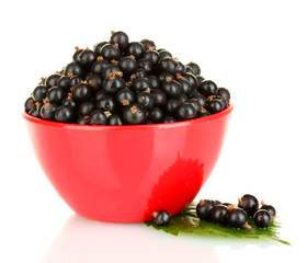 Fresh black currant in red bowl isolated on white