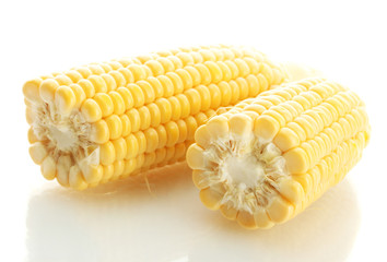 fresh corn, isolated on white