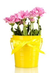 beautiful bouquet of chrysanthemums in a bright colorful bucket