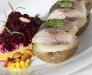 Appetizer with herring