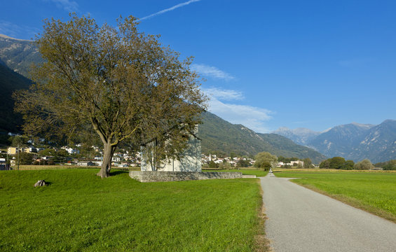 mountain landscape with tree and small church