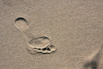 Fototapeta na wymiar boso ślad na piasku