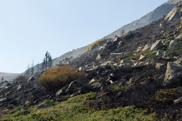 Fire in mountain