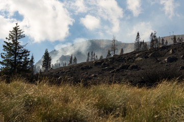 Fire in mountain