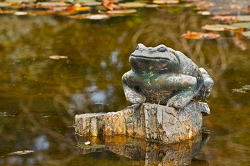 Stone garden pond frog sitting in green pond of water lilies