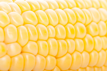 corn pieces on the cob