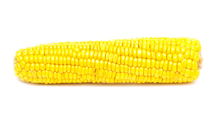 corn on a white background