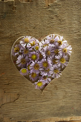 Heart from flowers on a wooden surface