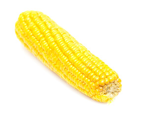 corn on a white background