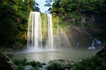 Obraz premium Cascada Misol-Ha, Mexico