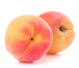 Ripe apricot fruit