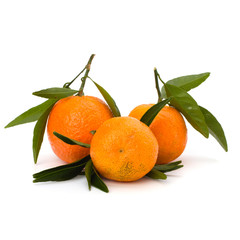 Tangerines