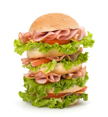 Junk food hamburger