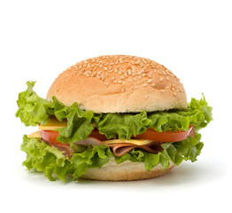 Junk food hamburger
