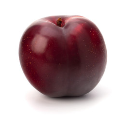 Red plum fruit