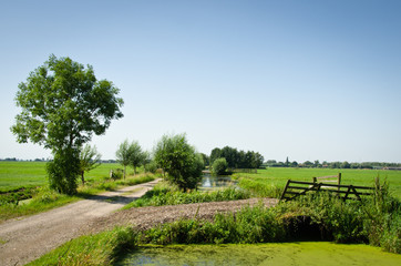 Fototapeta na wymiar countryside - the Netherlands
