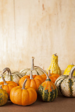 Group of Gourds