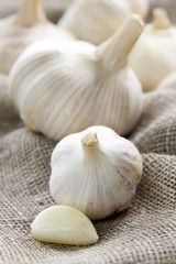 Garlic