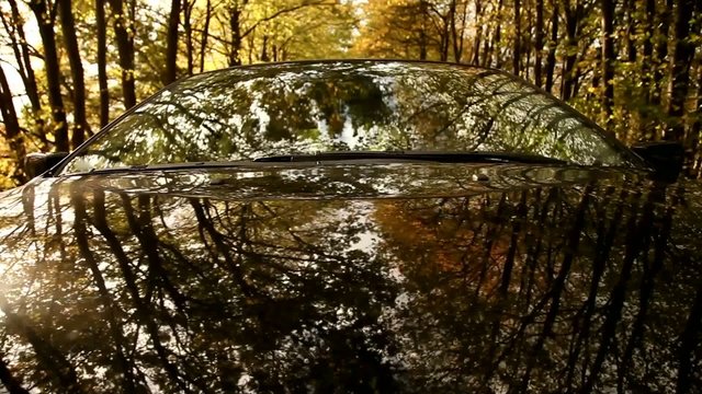 Autofahrt mit Spiegelung