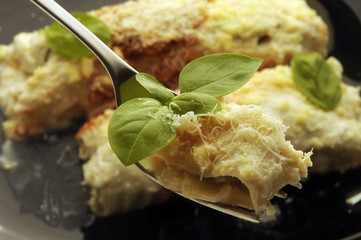 Cannelloni Canelones 카넬로니 Каннеллони