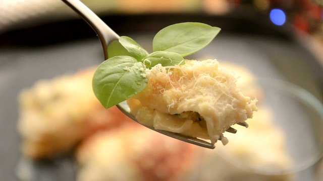 Cannelloni Canelones 카넬로니 Каннеллони