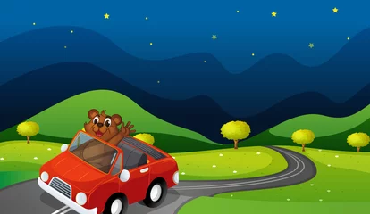 Gordijnen beer en auto © GraphicsRF