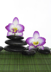 Fototapeta na wymiar Two orchid with stacked of stones on green bamboo mat
