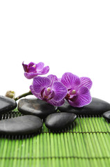 Set of pink branch orchid with zen stone on green mat