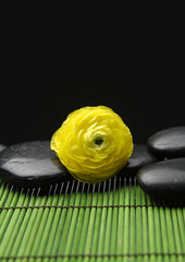 Obraz na płótnie Canvas Yellow ranunculus with stones with green mat