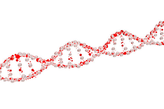 3d model of DNA
