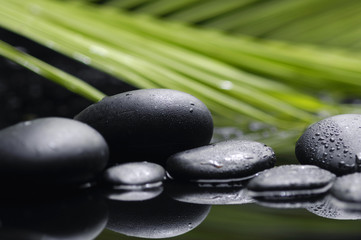 Leaves of palm with zen pebbles –still life