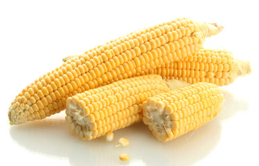 fresh corn, isolated on white