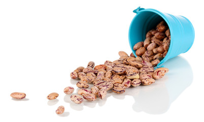 Brown beans in blue bucket isolated on white