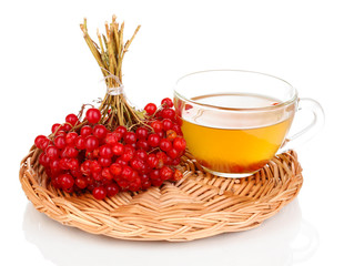 tea with red viburnum isolated on white