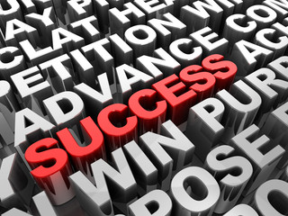 Success