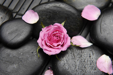 pink rose and massage stones green mat
