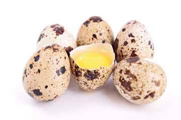 quail egg