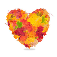 Autumn heart symbol isolated on white background