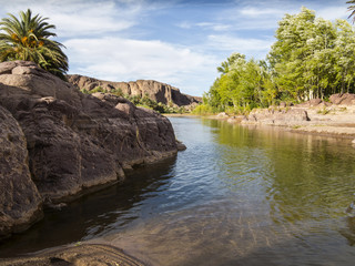 Obraz premium vegetation and water in the oasis of Fint in Morocco