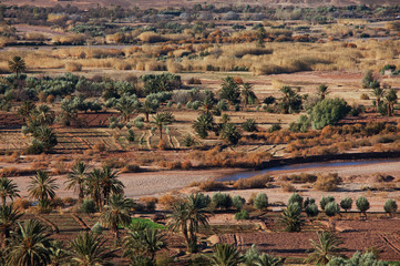 Fototapeta na wymiar Moroccan fields