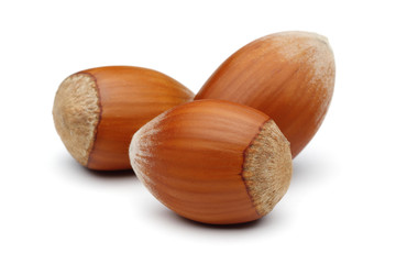 Hazelnuts Group
