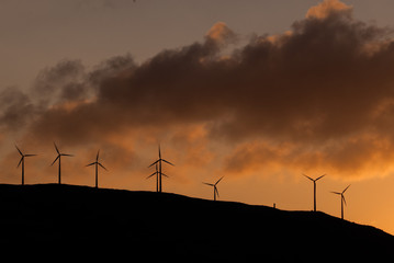 Windmills silhouettes