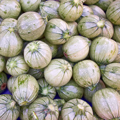 fresh zucchini closeup, natural background