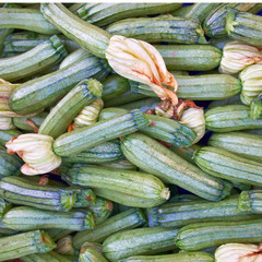 fresh zucchini closeup, natural background